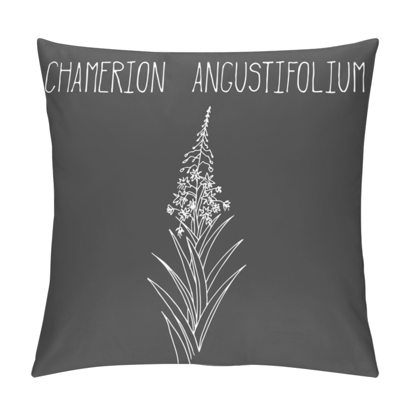 Personality  Hand Drawing Illustration Of Epilobium. Pillow Covers