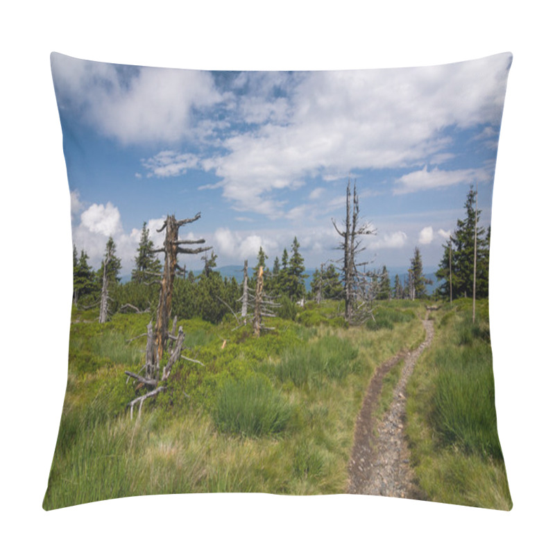 Personality  Amazing Summer Mountain Landscape With Blue Sky And Clouds Pillow Covers