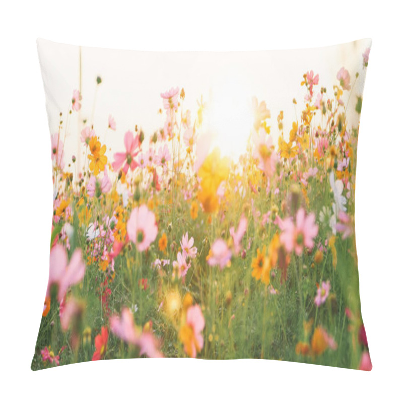 Personality  Beautiful Cosmos Flower Field Pillow Covers