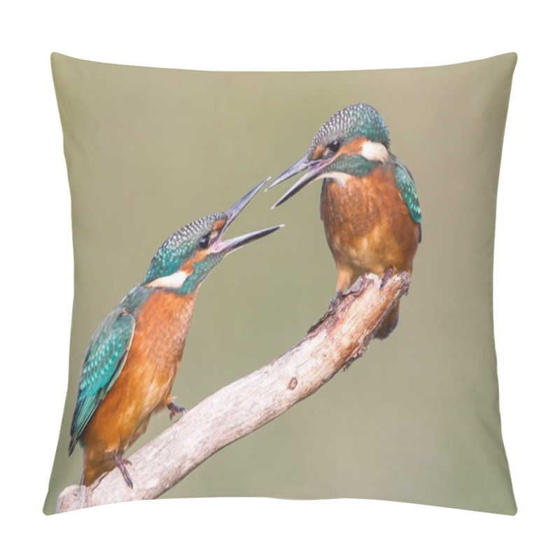 Personality  Two Young Kingfishers Birds Pillow Covers