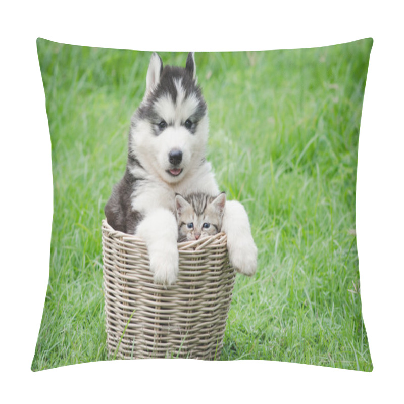 Personality  Cute Puppy And Kitten In Basket  Pillow Covers