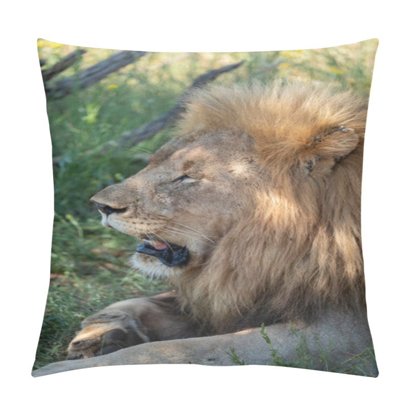 Personality  A Closeup Photo Of A Lion Relaxing In Its Vibrant Habitat, Showcasing Its Majestic Beauty For All To See Pillow Covers