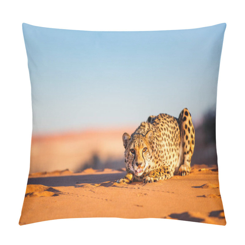 Personality  Beautiful Cheetah Outdoor On Red Sand Dune Early In The Morning At Namib Desert Pillow Covers