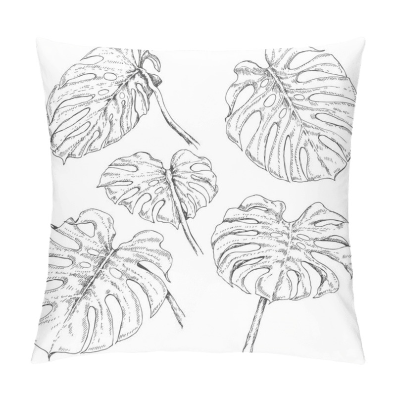 Personality  Monstera Fronds Sketch Pillow Covers