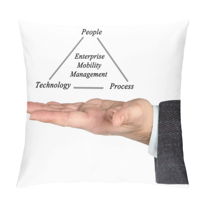 Personality  Diagram Of  Enterprise Mobility Management Pillow Covers