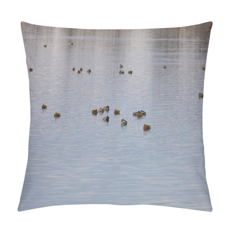 Personality  Ducks Swim On A Partially Frozen Lake. Palava In The Background. Pillow Covers