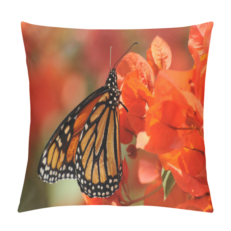 Personality  Monarch Butterfly Pillow Covers