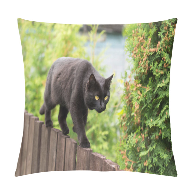 Personality  Bombay Black Cat Walking On Wooden Fence In Village Garden Pillow Covers