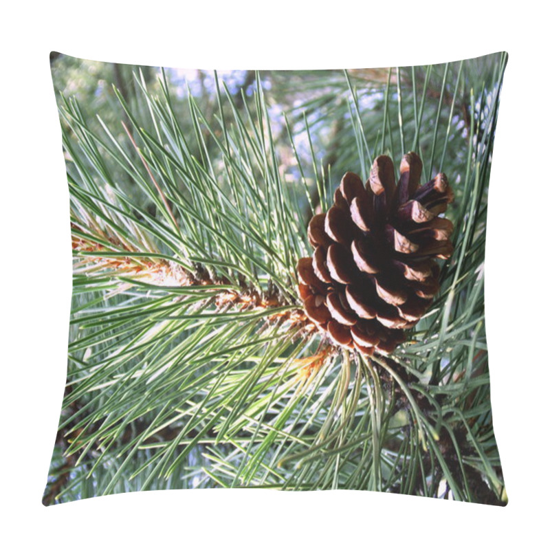 Personality  The Cone Pine. Pillow Covers