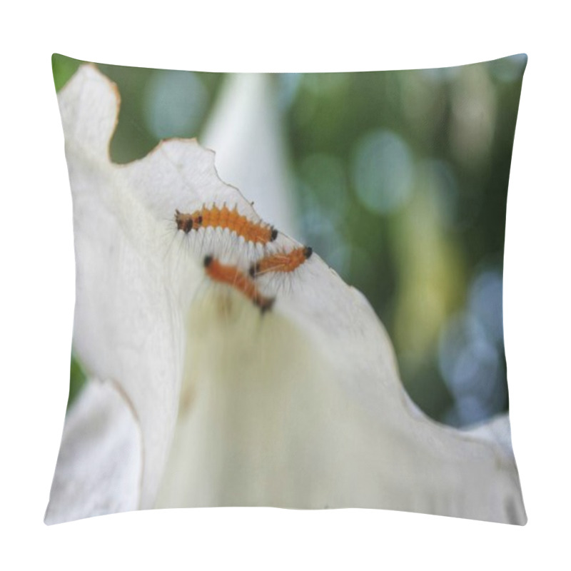 Personality  Yellow Caterpillar On A Branch Pillow Covers