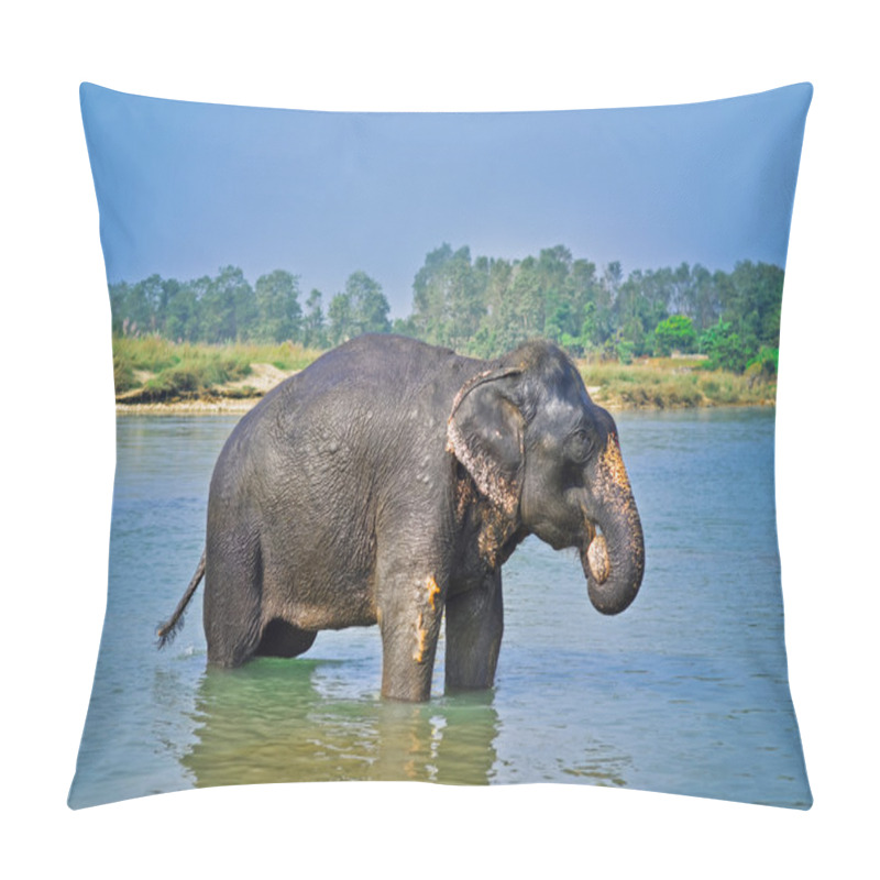 Personality  Cute Asian Elephant Blowing Water Out Of His Trunk In Chitwan N.P. Nepal Pillow Covers