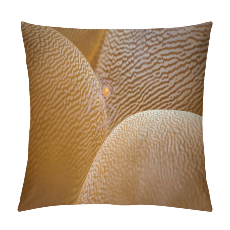 Personality  Bubble Coral Shrimp Pillow Covers