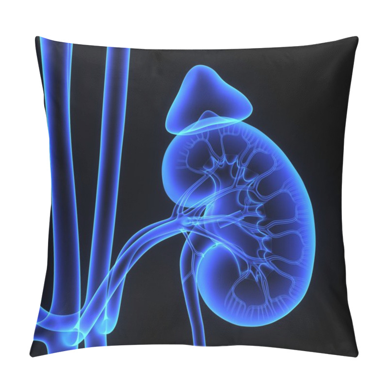 Personality  Kidneys Pillow Covers