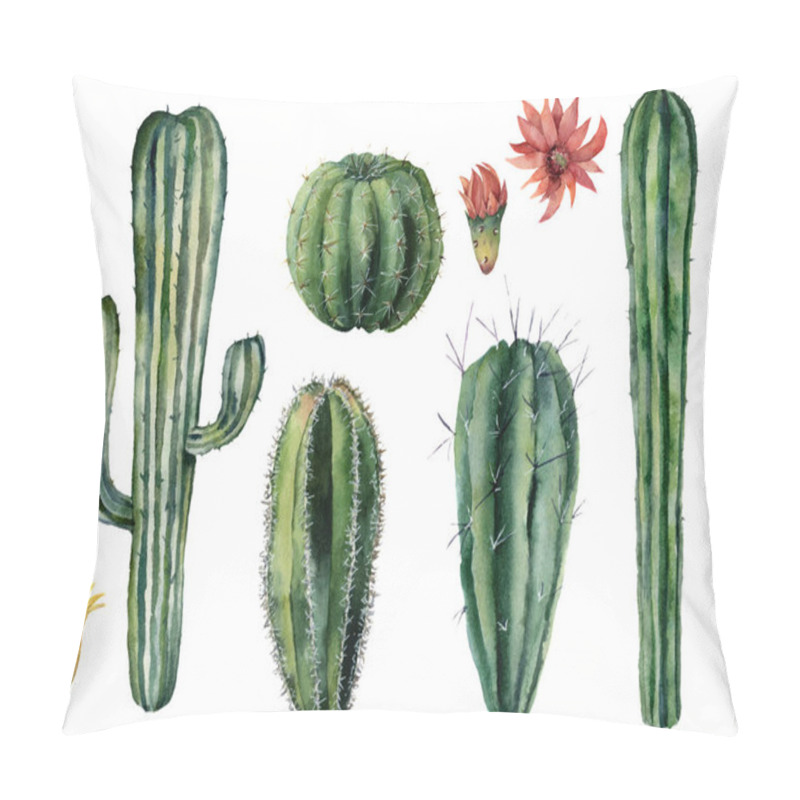 Personality  Watercolor Cacti And Flowers Set. Hand Painted Dessert Plants Isolated On White Background. Botanical Illustration For Design, Print Or Card Pillow Covers