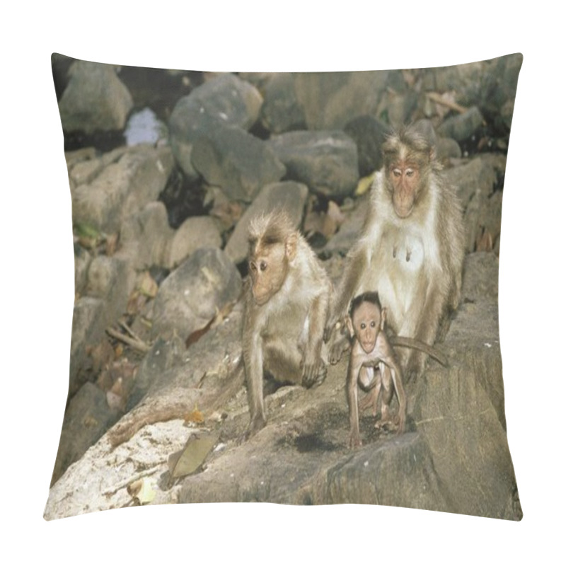 Personality  Bonnet Macaque Monkeys And Baby , Mudumalai Sanctuary , Tamilnadu , India Pillow Covers