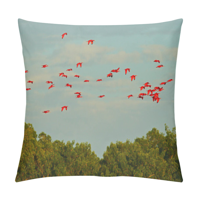 Personality  Scarlet Ibis, Eudocimus Ruber, Exotic Red Bird, Nature Habitat, Bird Colony Sitting On The Tree, Caroni Swamp, Trinidad And Tobago, Caribbean. Flock Of Ibis, Wildlife Nature. Pillow Covers