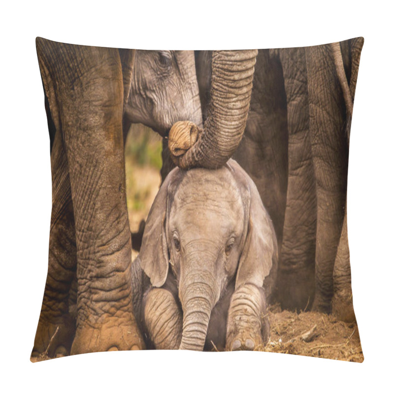 Personality  Portrait Of African Elephant Calf In Natural Surroundings Pillow Covers