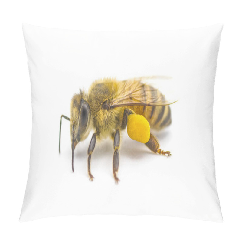 Personality  Western Honey Bee Or European Honey Bee - Apis Mellifera - Closeup Side Front View Showing Pollen Basket, Corbicula Or Scopae On The Tibia On The Hind Legs Isolated On White Background Pillow Covers