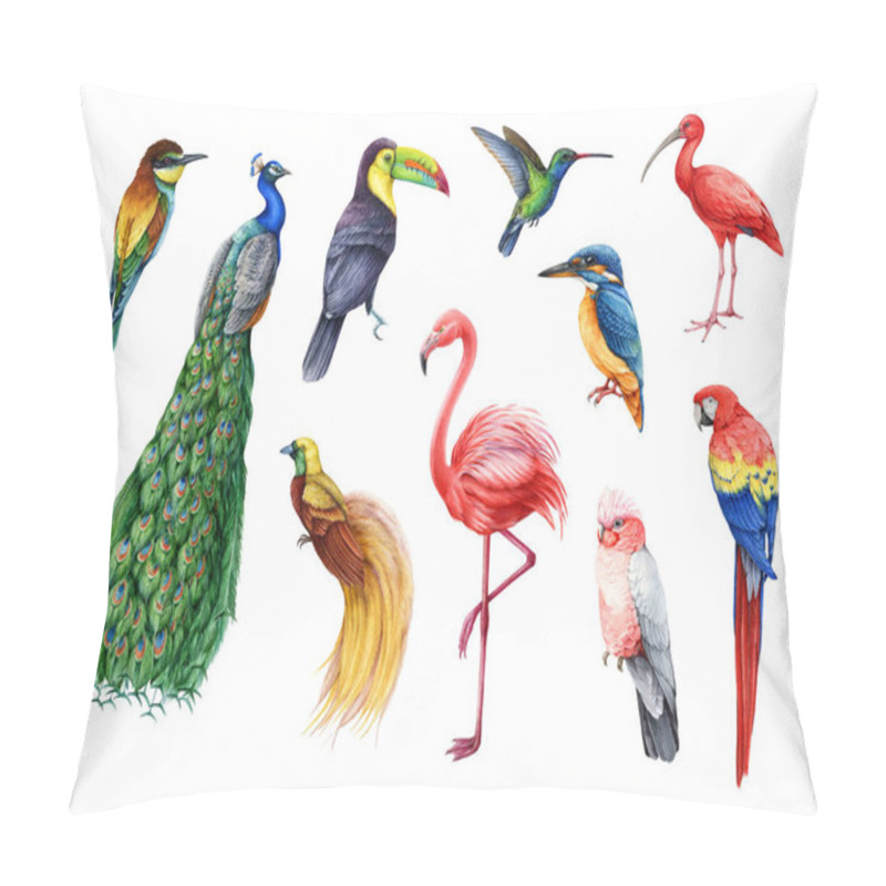 Personality  Tropical Birds Illustration Set. Hand Drawn Peacock, Hummingbird, Kingfisher, Toucan, Flamingo, Parrot, Red Macaw, Paradise Bird Beautiful Aves. Bright Colorful Exotic Wildlife Tropical Animals. Pillow Covers