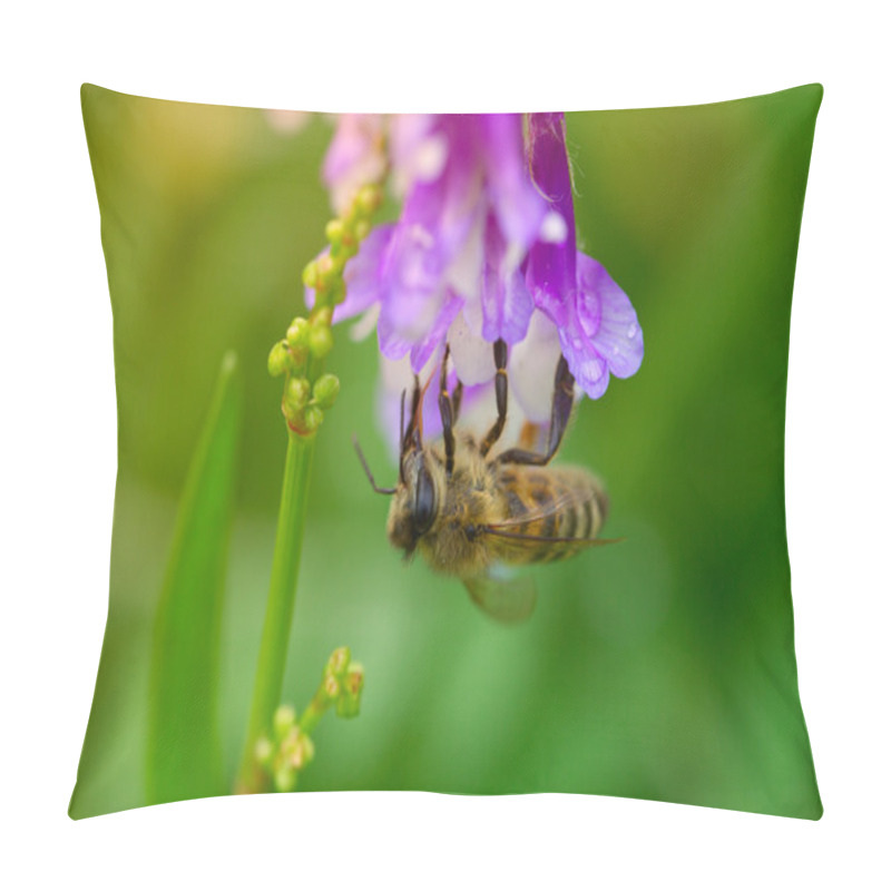 Personality  Bee On A  Lilac (purple) Flower . Macro Of Honey Bee (Apis) On F Pillow Covers