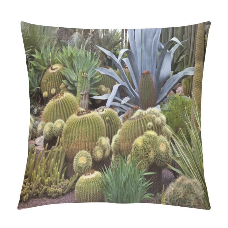 Personality  Cactus Garden - Elche - Spain Pillow Covers