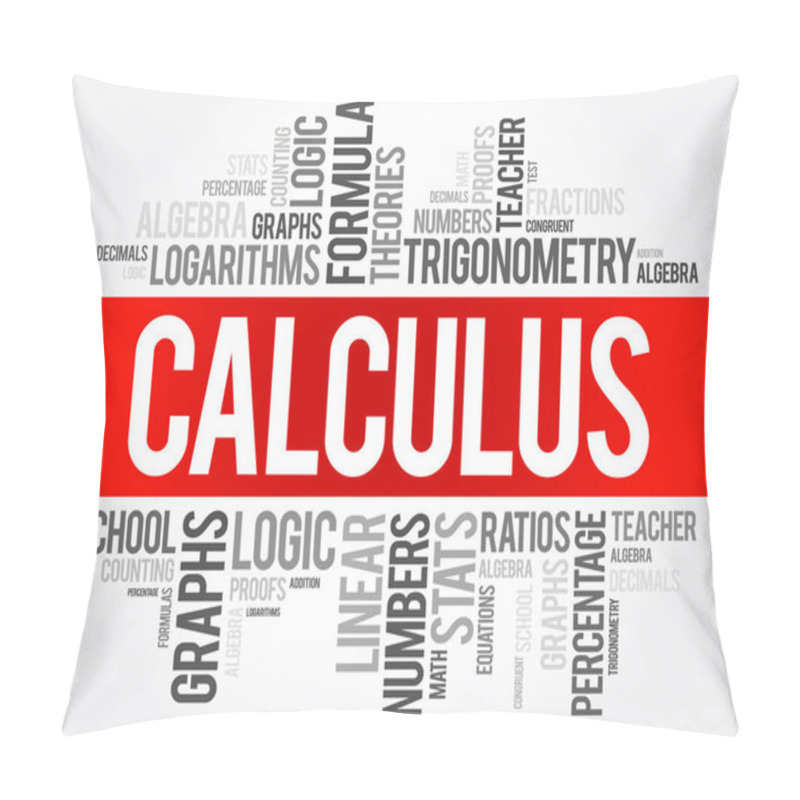 Personality  Calculus Word Cloud Collage, Education Concept Background Pillow Covers