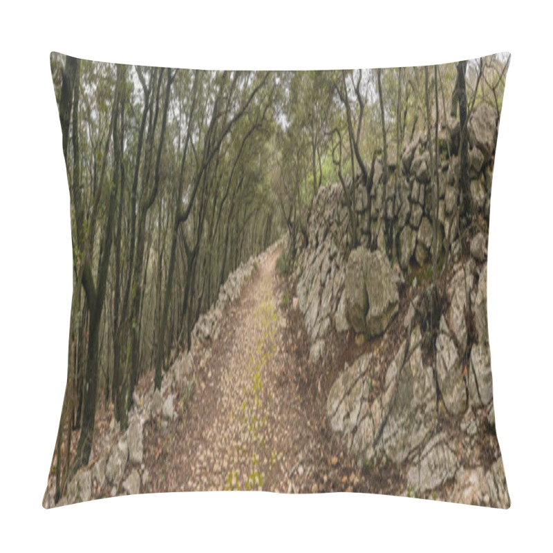 Personality  Old Roman Road In The Forest In Cres (Croatia) On A Cloudy Day In Spring Pillow Covers