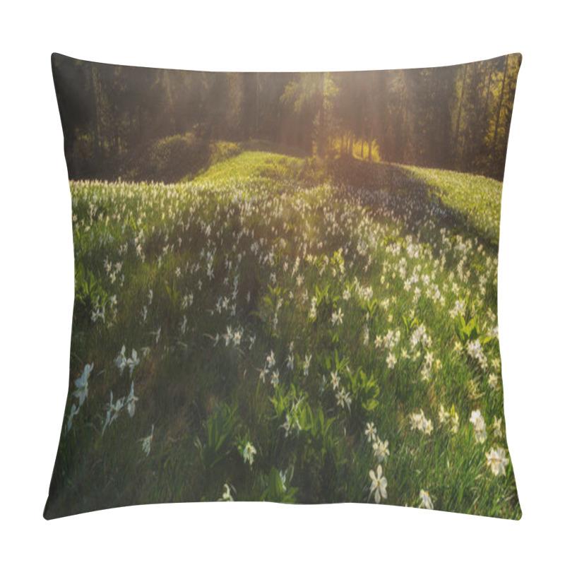 Personality  Daffodil Flower In The Evening Sunlight On The Meadow In The Hills. Pillow Covers