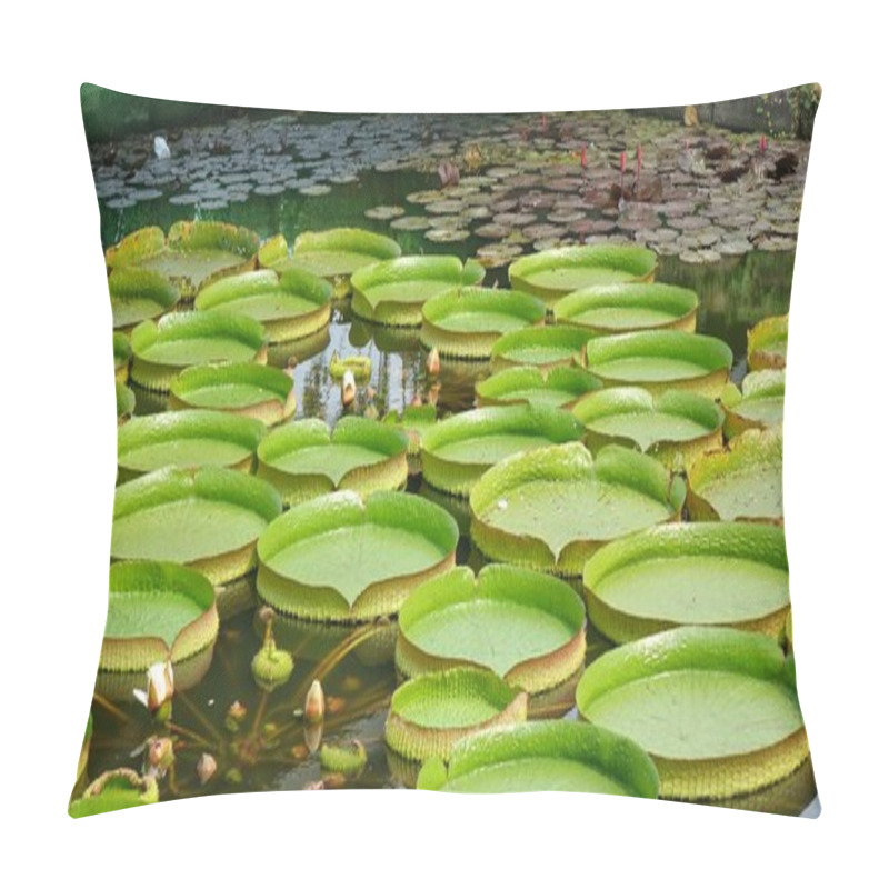 Personality  Beautiful Victoria Water Platters And Flowers Pillow Covers