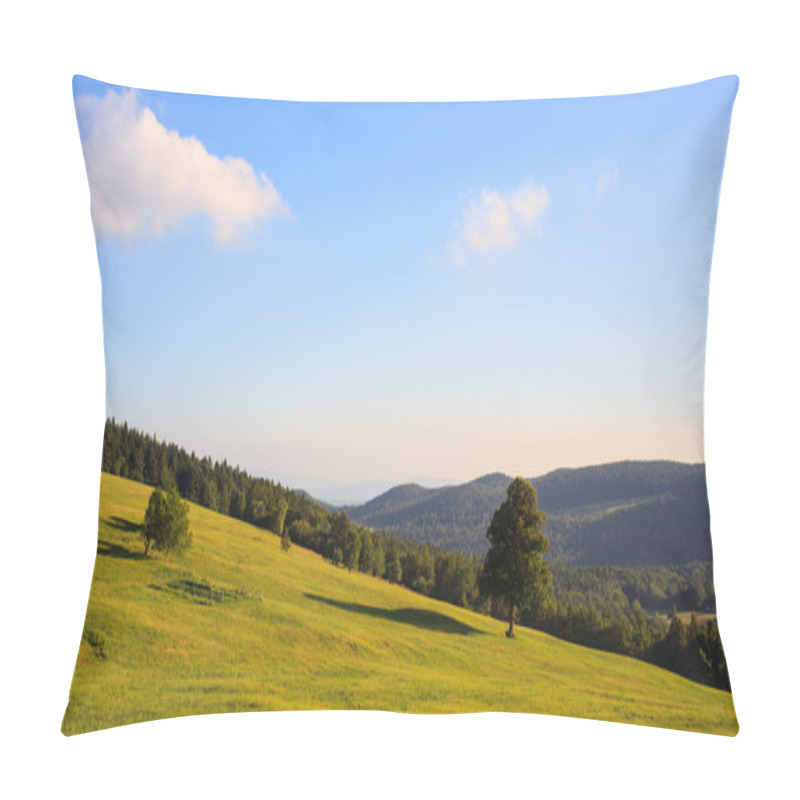 Personality  Nanos Mountain, Slovenia Pillow Covers