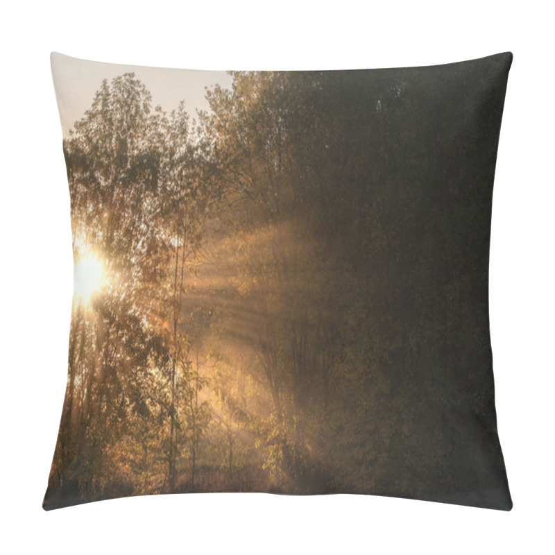 Personality  Autumn Sunrise Landscape With The Sun Piercing Through Mist And Trees, Enlightening With Its Rays The Forest, On A Sunny Day Of October, In Germany. Pillow Covers