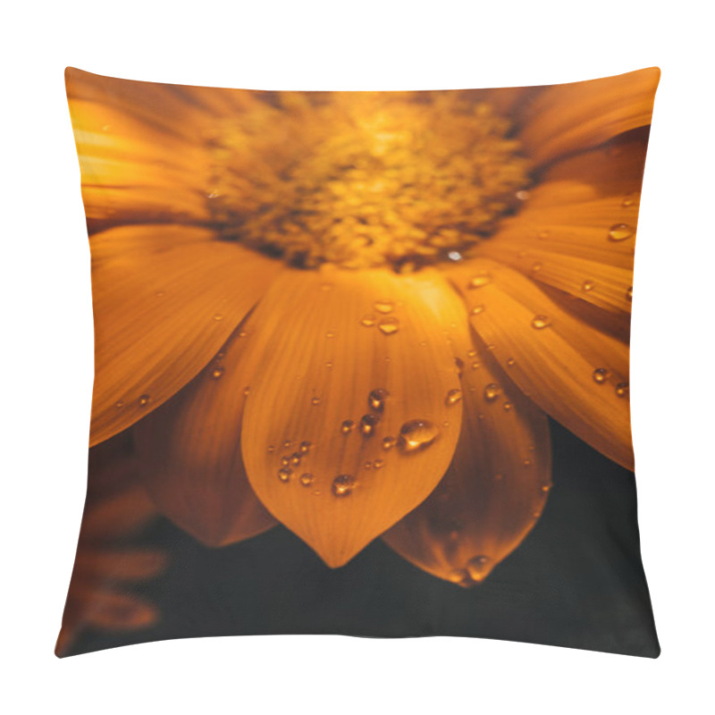 Personality  Gazania Yellow Flower Closeup Macro With Water Drops Pillow Covers