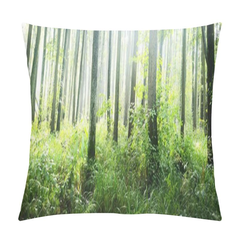 Personality  Swampy Deciduous Forest, Moss, Fern, Plants Close-up. Sun Rays Flowing Through The Old Tree Trunks. Green Swampland. Tranquil Landscape. Ecology, Ecosystems, Environmental Conservation Theme Pillow Covers