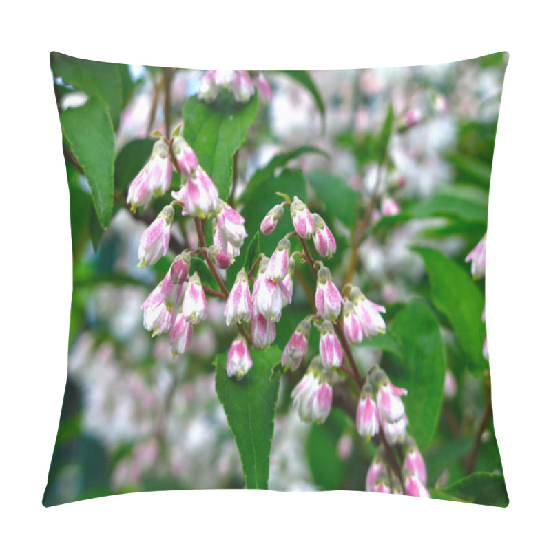 Personality  Beautiful Shrub Deutzia Blooms In The Spring Garden Pink Small Flowers Pillow Covers