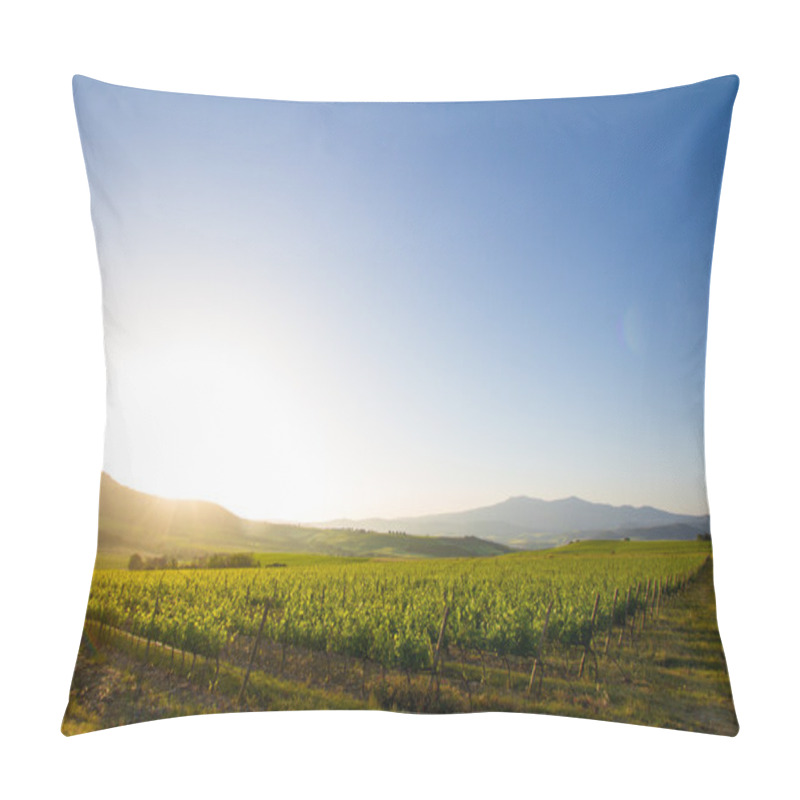 Personality  Country Hills In Tuscany, Italy Pillow Covers