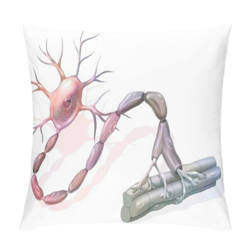 Personality  Motor Neuron: Neuron In Contact With Muscle Fibers. Pillow Covers