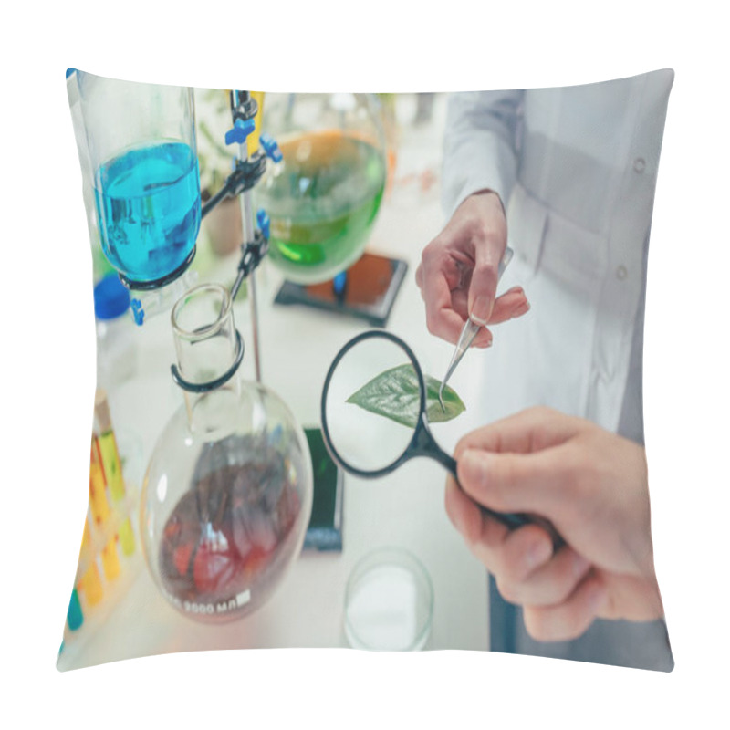 Personality  Biologists With With Magnifying Glass And Leaf Pillow Covers