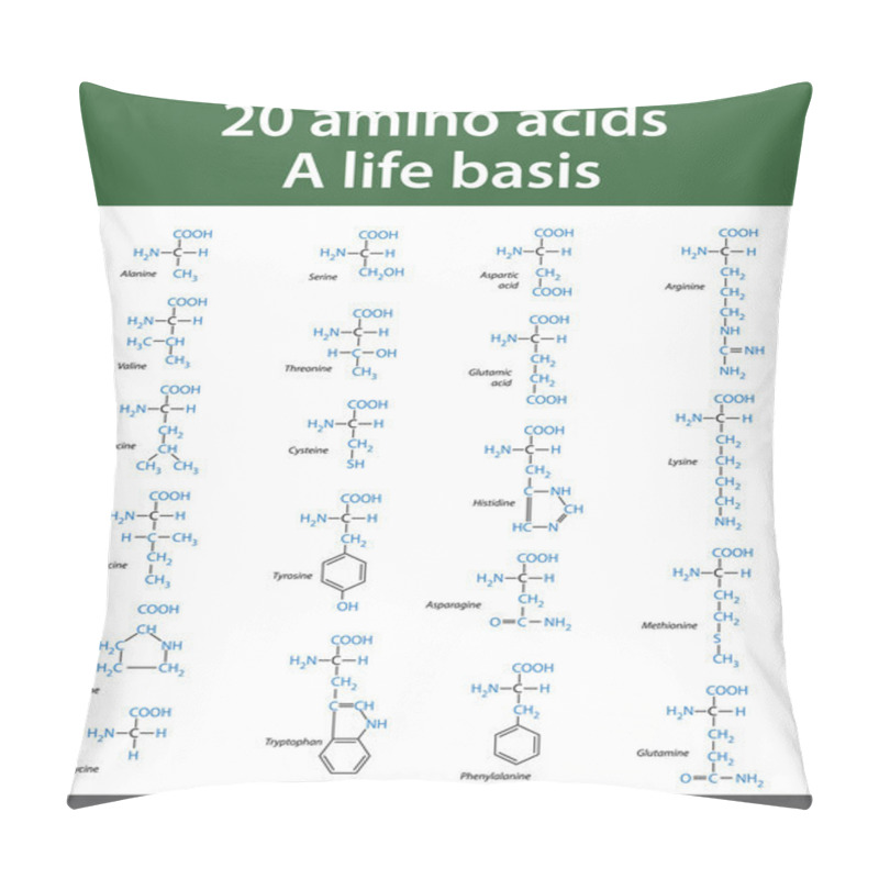 Personality  Amino Acids Pillow Covers