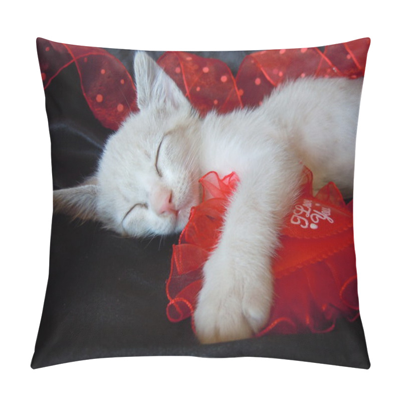 Personality  Sleeping Kitten And Red Heart Pillow Covers