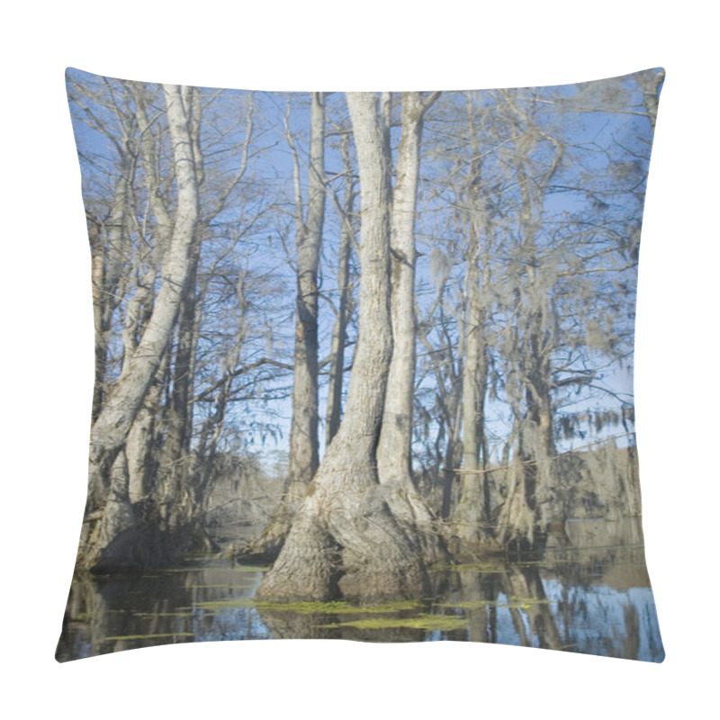 Personality  Cypress Swamp Pillow Covers