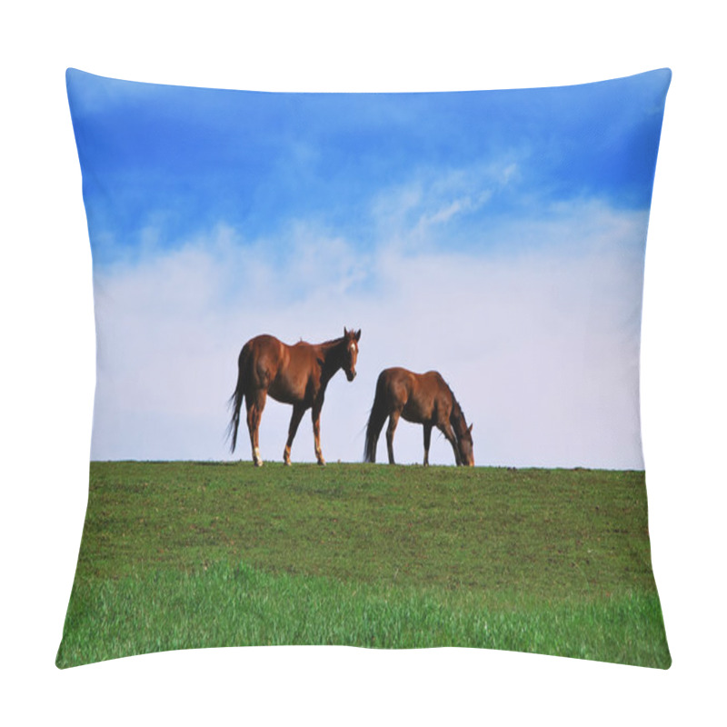 Personality  Two Brown Horses Grazing On Pasture On Green Grass And Blue Sky Cloudy Background. One Horse Looking At The Camera Pillow Covers