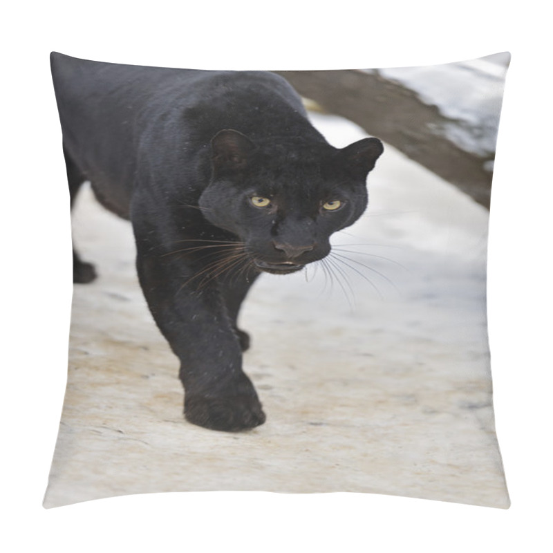 Personality  Leopard Pillow Covers