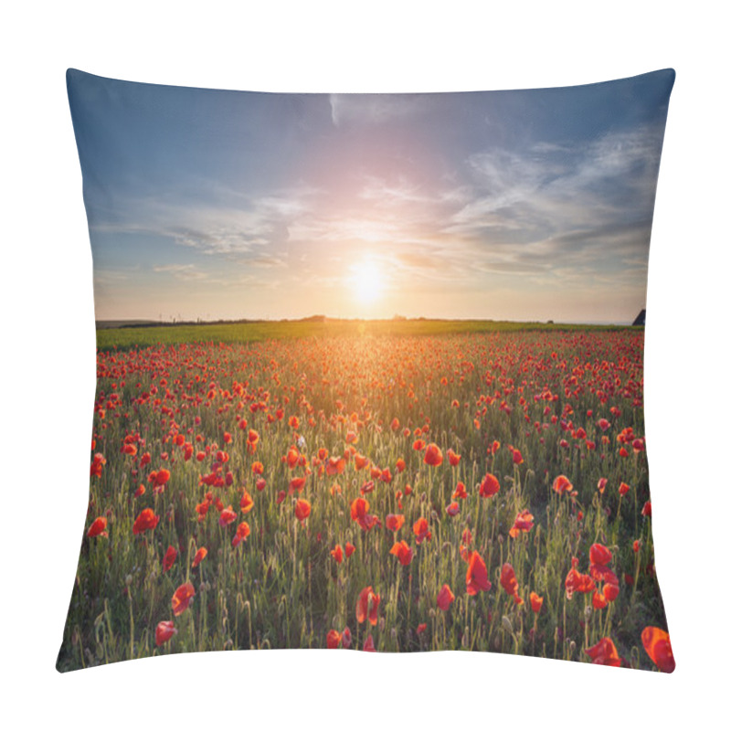 Personality  Poppy Field Pillow Covers