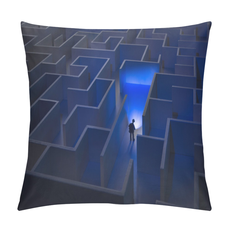 Personality  Walking Through The Business World Pillow Covers