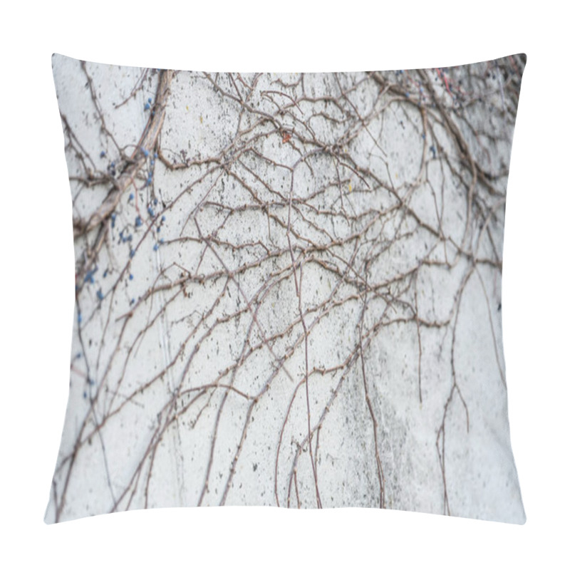 Personality  Abstract Minimalist Wall Texture With Intertwined Bare Branches And Natural Geometric Patterns Pillow Covers