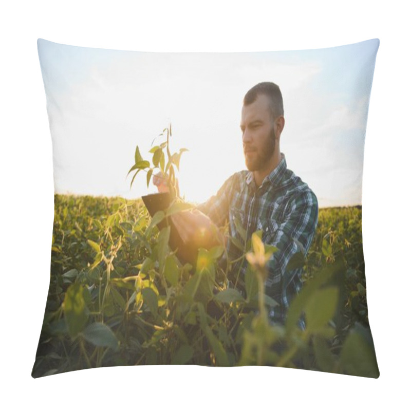 Personality  Farm Worker Controls Development Of Soybean Plants. Agronomist Checking Soya Bean Crops Growing In The Field. Pillow Covers