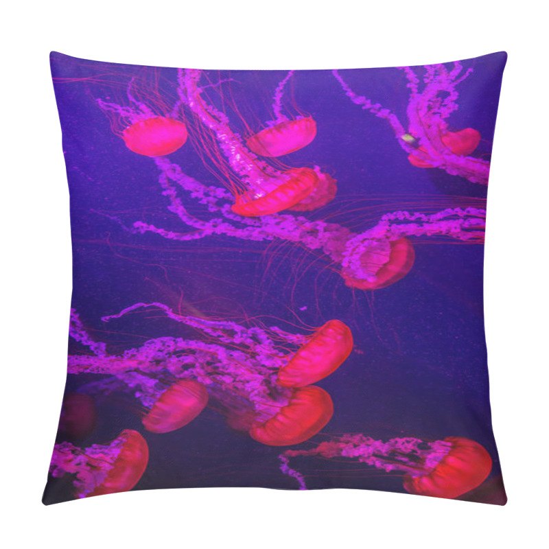 Personality  Beautiful Jellyfish Moving Slowly In Aquarium In Dubai Pillow Covers