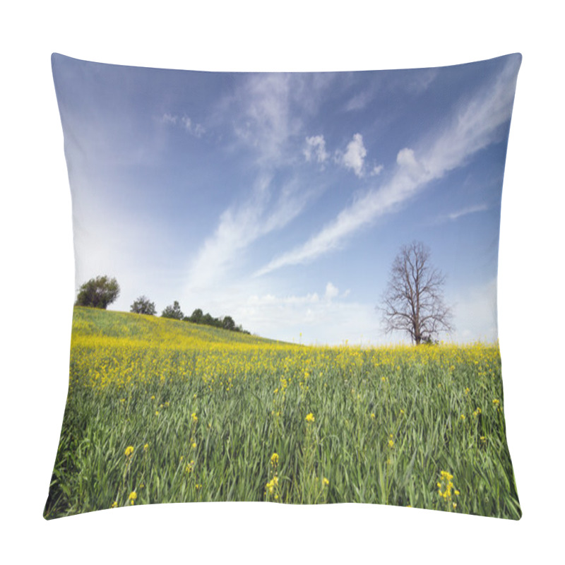 Personality  Spring Landscape Near The Forest Pillow Covers