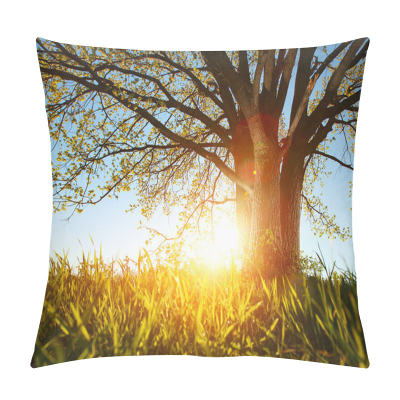 Personality  Tree Pillow Covers