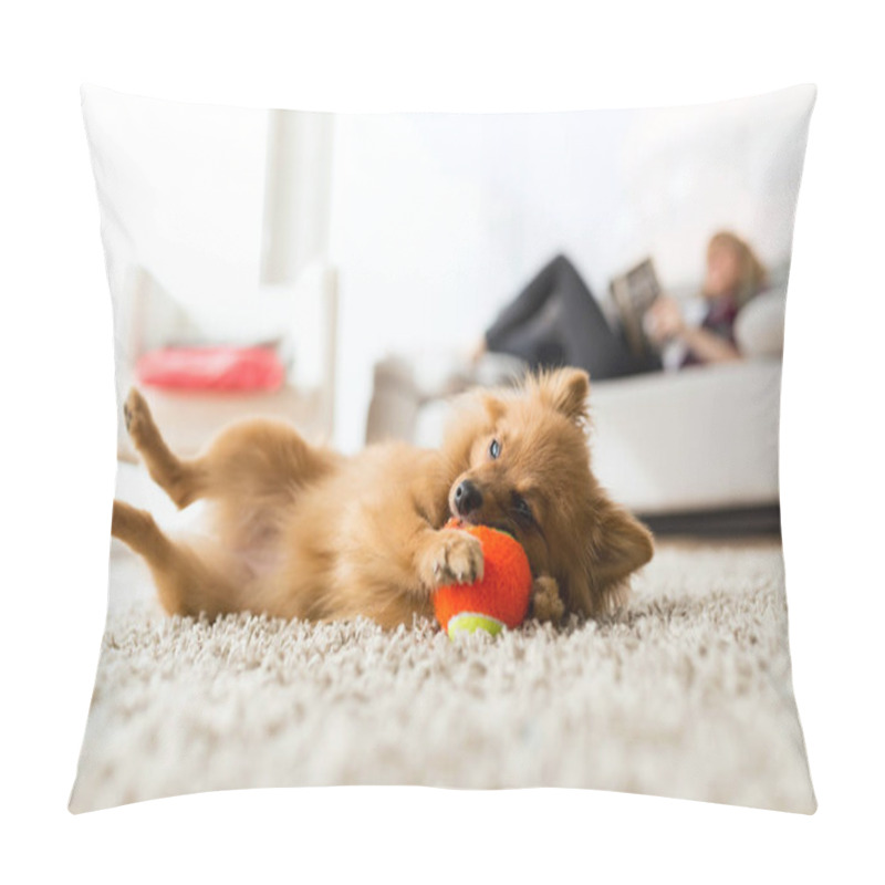 Personality  Beautiful Young Woman With Her Dog Playing With Ball At Home. Pillow Covers